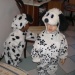 Momenti di gioia: ...viva il carnevale!: 