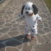 Momenti di gioia: ...viva il carnevale!: 