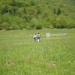 Il montagna, al passo San Boldo: 