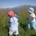 Il montagna, al passo San Boldo: 